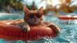 Cute orange cat wearing sunglasses. The cat is relaxing in a pool ring, floating in a swimming cool with mild blue water, in a hot summer day.