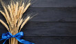 Ears of wheat tied with a blue ribbon on a dark background. copy space for your text	