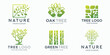 Set of vector logos with the icon of a tree abstract design template.