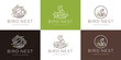 inspiration bird nest logo design template. minimalist logo bird mono line, line roots symbol and leaf green vector illustration.