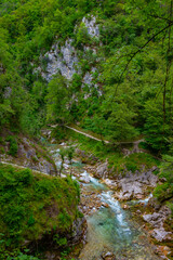 Poster - Tolmin gorge during a summer morning in Slovenia