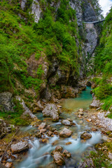 Wall Mural - Tolmin gorge during a summer morning in Slovenia