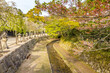 Canal during spring in Miyajima island, Japan