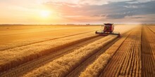 Combine Harvester Harvests Ripe Wheat. Ripe Ears Of Gold Field On The Sunset Cloudy Orange Sky Background. . Concept Of A Rich Harvest. Agriculture Image
