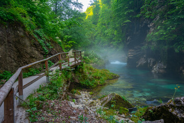 Wall Mural - Vintgar gorge during a summer morning in Slovenia