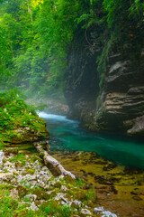 Wall Mural - Vintgar gorge during a summer morning in Slovenia