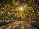 Fototapeta Do akwarium - Lemon plantations, Trees with ripe lemon fruit