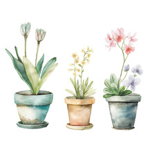 Vibrant Potted Flowers In Watercolor. Hand-drawn Vectors On White. Exquisite Botanicals For Bouquets, Wreaths, Arrangements, Or Chic Wedding Invites.