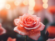 Blurred background with a rose macro shot, exuding retro vibes