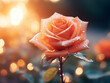 Background featuring defocused roses in a vintage-inspired macro shot