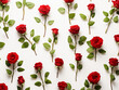 Red rosebuds and eucalyptus branches compose a captivating design on white