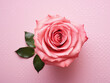 Top view flat lay of a small rose on pink polka dot background