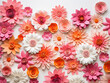 Pink and orange paper flowers arranged horizontally on white