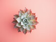 Succulent plants adorn pastel paper in a flat lay composition