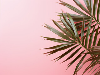 Wall Mural - Minimalist concept tropical leaves against a pastel pink background