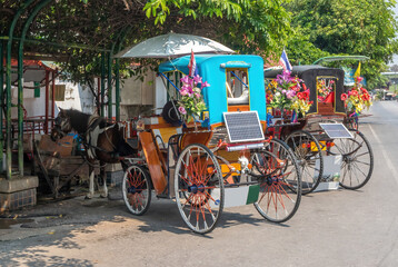 Tourist horse and buggy rides