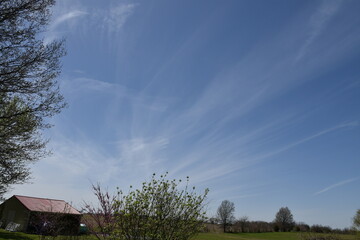 Canvas Print - White Clouds in a Blue Sky Over a Yard