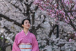 満開の桜の木の下で景色を眺める和服を着た女性