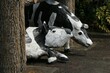 牧場の乳牛を模したモニュメント