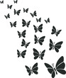 Background of butterfly flying  isolate vector illustration