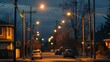 Solarpowered street lights illuminate a neighborhood that has lost power due to a disaster providing safety and security to its residents. . .