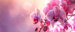 A tranquil display of vibrant pink orchid flowers against a blurred bokeh light background.