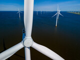 Fototapeta  - wind farm in the ocean off the coast of Flevoland, Netherlands, with rows of windmill turbines