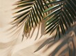 A tropical shadow of palm leaves on the sand background in a flat lay with copy space