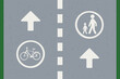 Bicycle lane and footpath sign.Bicycle path and footway marking with specified direction.Separated bike path with pedestrian path.Painted sign on asphalt for cycle dedicated lane withal walkway.Vector