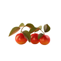 Wall Mural - Three cherries hanging from a leafy branch