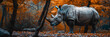 a Rhinoceros beautiful animal photography like living creature