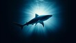 A detailed, hyper-realistic image of a blue shark silhouetted against the depths of the ocean, with a faint source of light behind it.