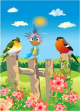 Fototapeta Do akwarium -   composition with birds sitting on the fence
