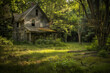 Abandoned house surrounded by nature's embrace