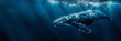 a Whale beautiful animal photography like living creature