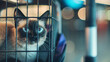 A cat is in a carrier cage going to travel.