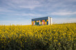 Beehive trailer in blooming rapeseed field in springtime sunset
