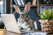 An adorable rabbit wearing glasses working on a laptop computer, shopping online odering food.