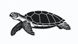 Black turtle silhouette. Vector illustratiion desing.