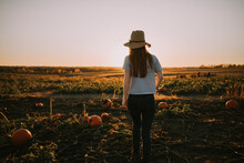 Back Of Redhead Woman Facing Sunset In A Pumpkin Patch