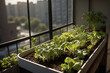 Urbaner Balkongarten mit frischem Salat und Kräutern im Sommerlicht - Grünes Wohnen in der Stadt