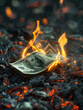 Burning dollars close up over ashes