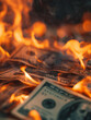 Hundred dollar bill in American US currency on fire
