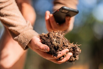 Wall Mural - farmer hold soil in hands monitoring soil health on a farm. conducting soil tests