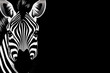 Black and white vector-style face of a zebra isolated on a solid background.