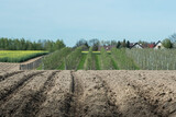 Fototapeta Tęcza - pola uprawne i sady na terenach wiejskich w słoneczny wiosenny dzień.