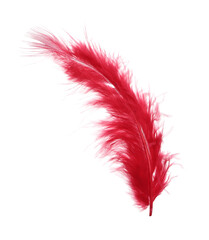 Sticker - Fluffy beautiful red feather isolated on white