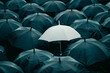 © GustavsMD - Lone White Umbrella Among the Dark. A single white umbrella stands out in a sea of dark umbrellas.