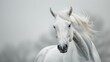 Majestic close-up portrait of a white horse with an elegant mane showing equine beauty and serenity