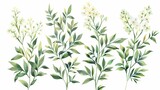 Fototapeta Sypialnia - Vintage watercolor decoration wedding card flowers illustration poster background
